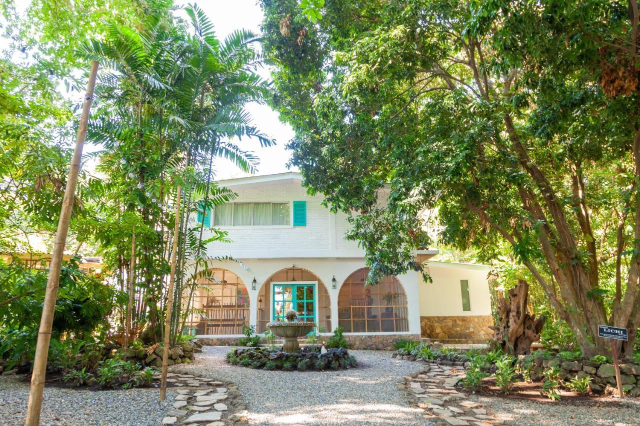 Angeli Gardens Boutique Hotel ซานเปโดร ซูลา ภายนอก รูปภาพ
