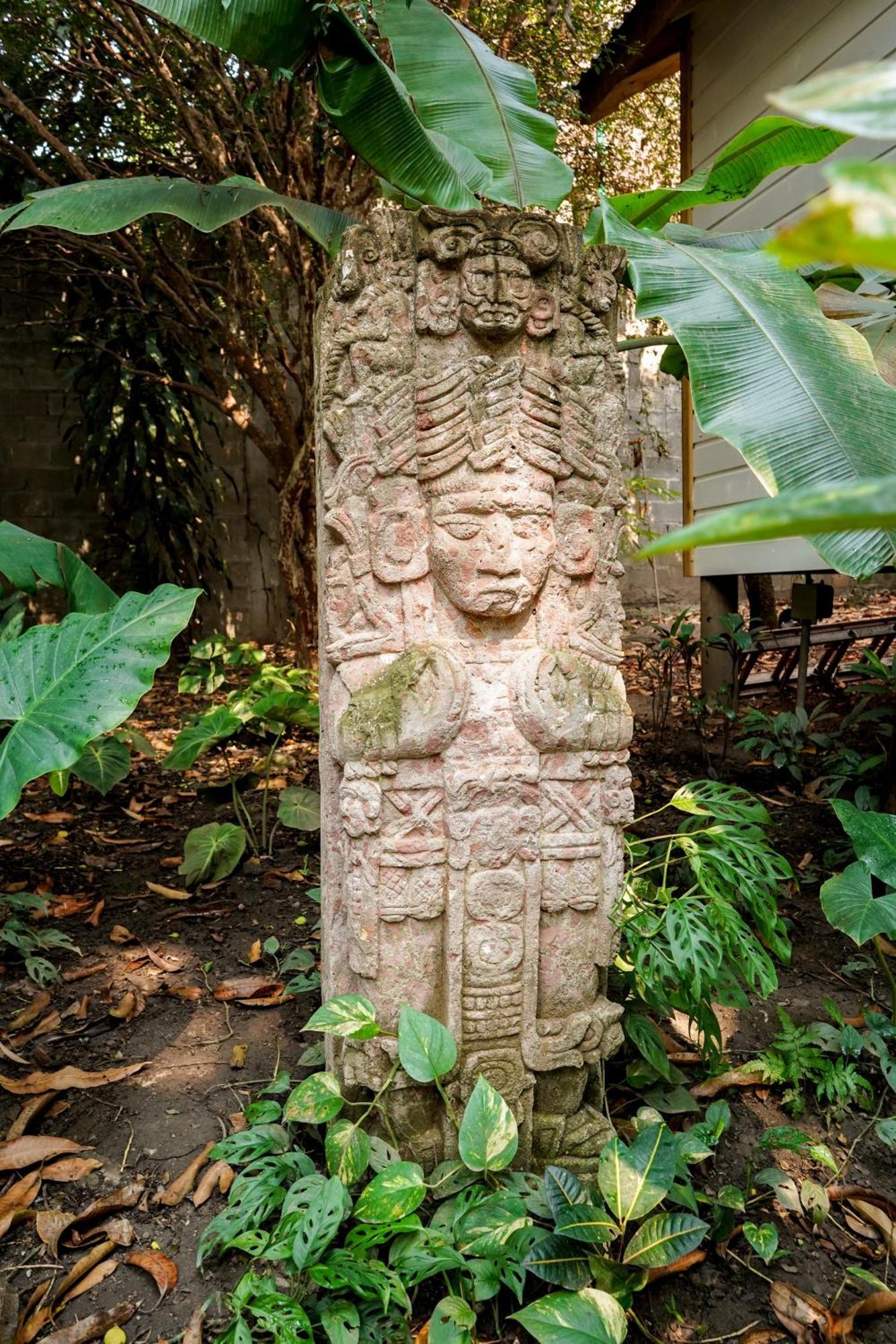 Angeli Gardens Boutique Hotel ซานเปโดร ซูลา ภายนอก รูปภาพ